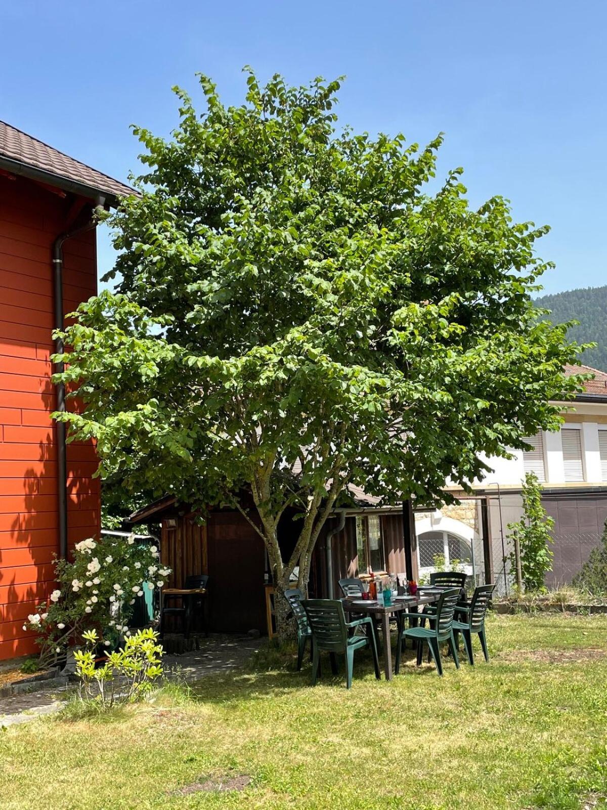 Villa Olian - Au Coeur Du Val-De-Travers Exterior photo